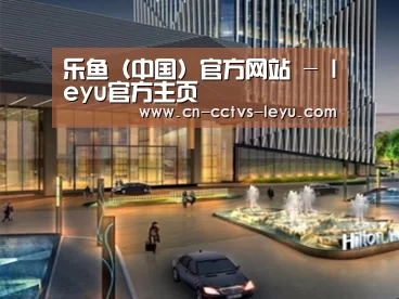 案例展示二