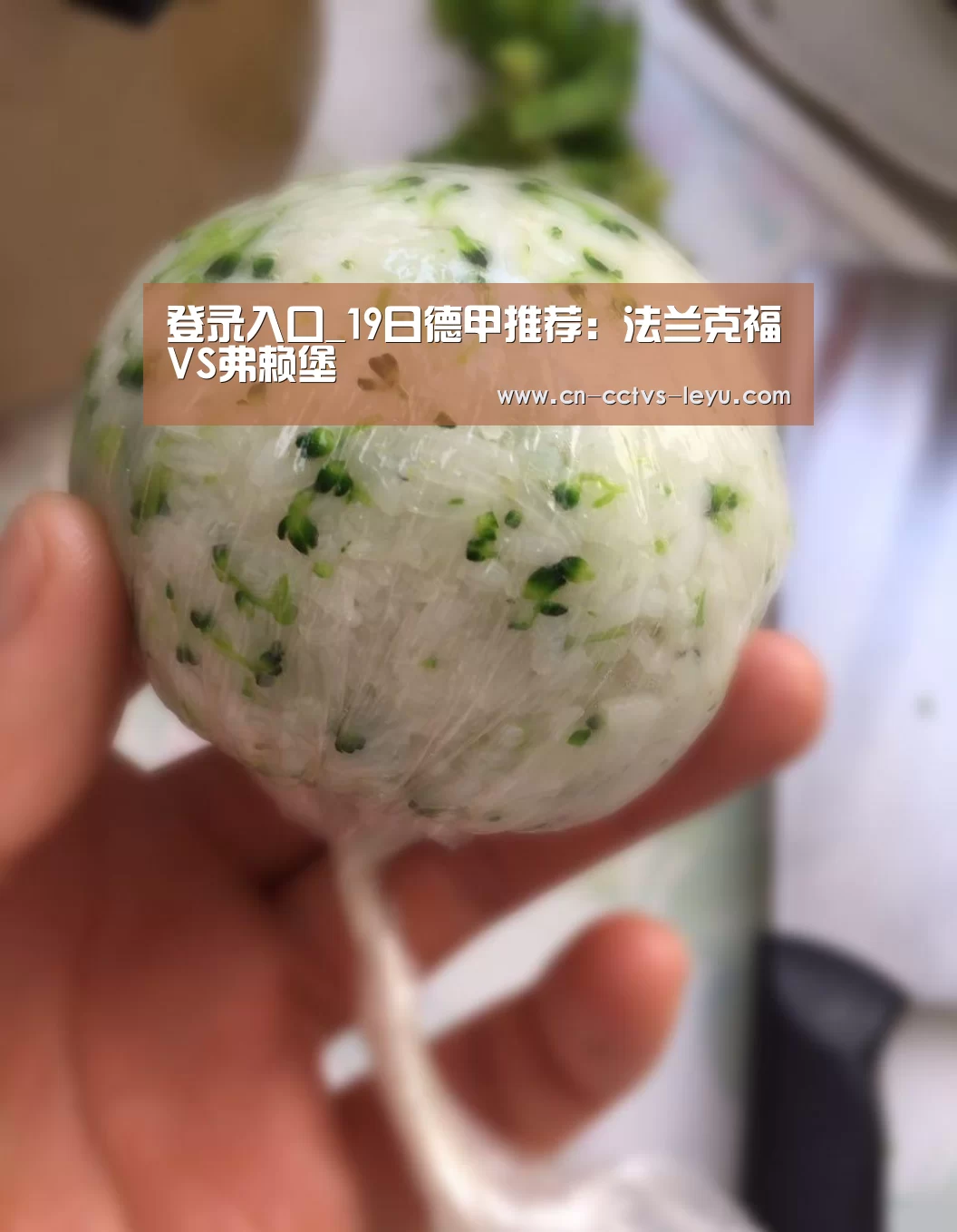 登录入口_19日德甲推荐:法兰克福VS弗赖堡(图2) 登录入口