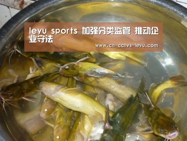 leyu sports_加强分类监管 推动企业守法(图1) 乐鱼体育