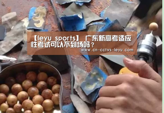 【leyu sports】
广东新高考适应性考试可以不到场吗?(图2) 登录入口