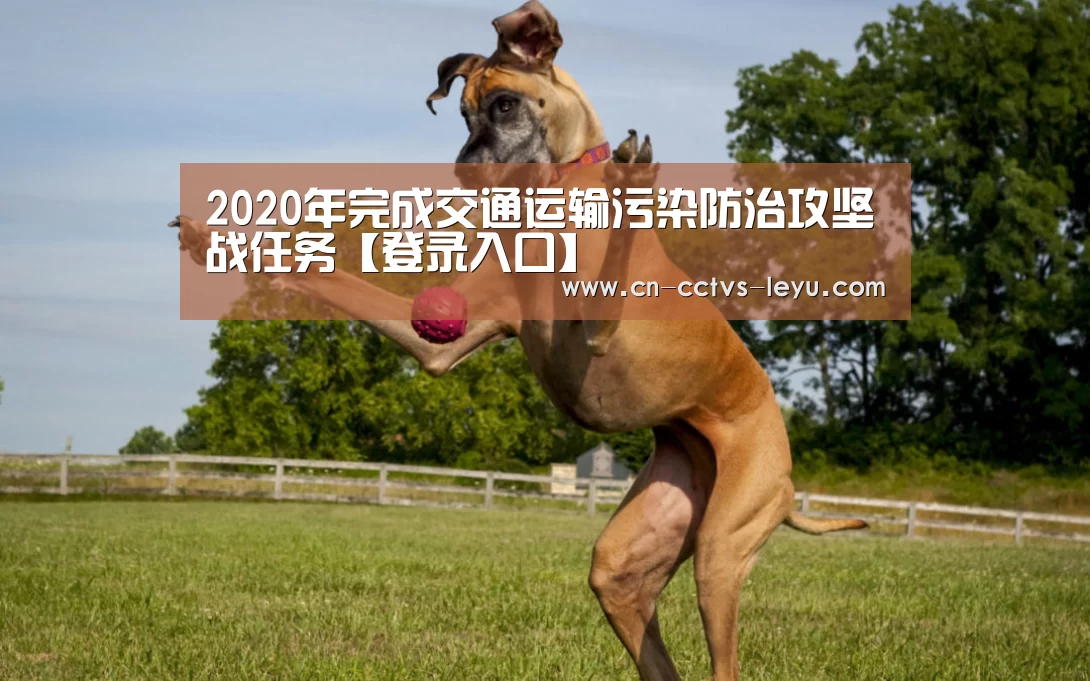 2020年完成交通运输污染防治攻坚战任务【登录入口】(图2) leyu sports