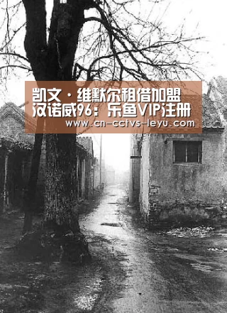 凯文·维默尔租借加盟汉诺威96:乐鱼VIP注册app下载(图2) 乐鱼体育